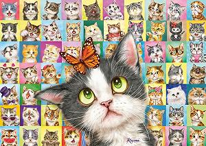 Пазл Schmidt Spiele 59759 Cat Facial Expression 1000 элементов - Фото 1