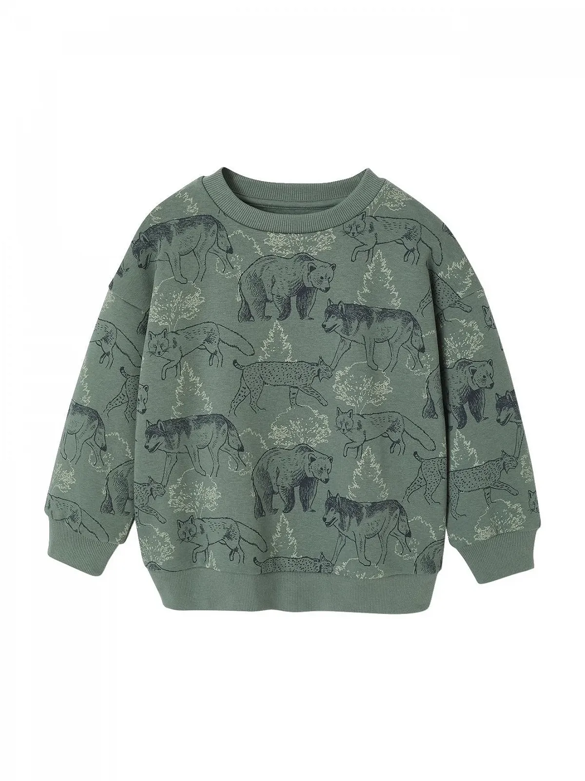 Толстовка Vertbaudet с принтом для мальчиков, переработанный полиэстер, фото №1