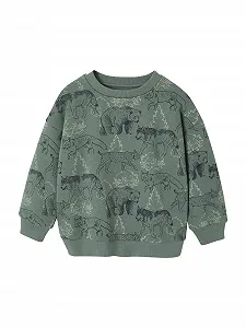 Толстовка Vertbaudet с принтом для мальчиков, переработанный полиэстер - Фото 1