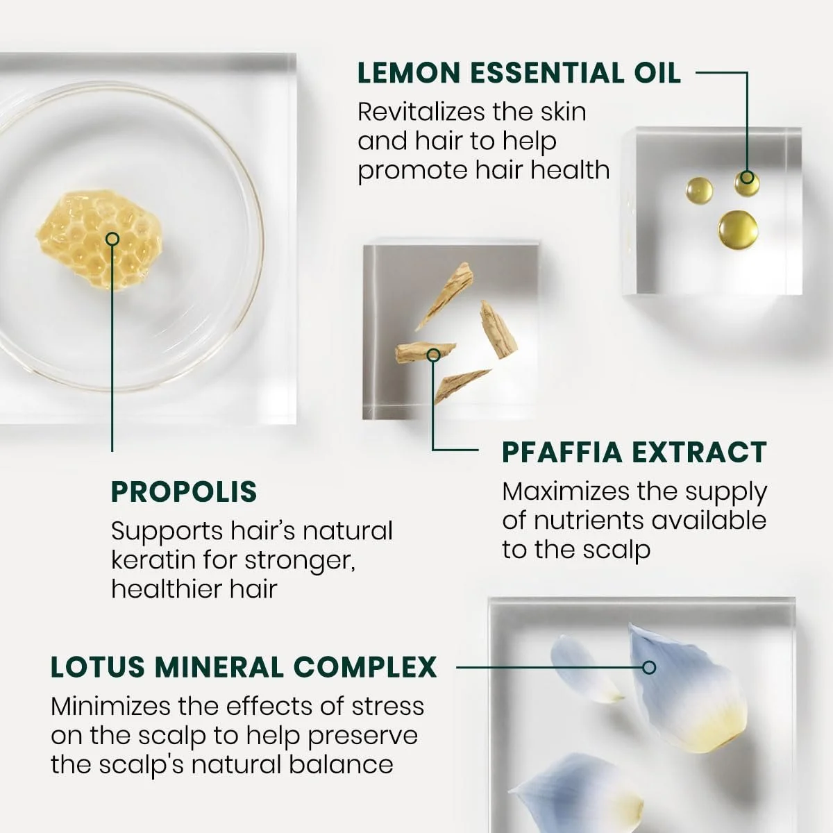 Засіб Rene Furterer Triphasic Rf80 проти випадіння волосся 12 флаконів, фото №4