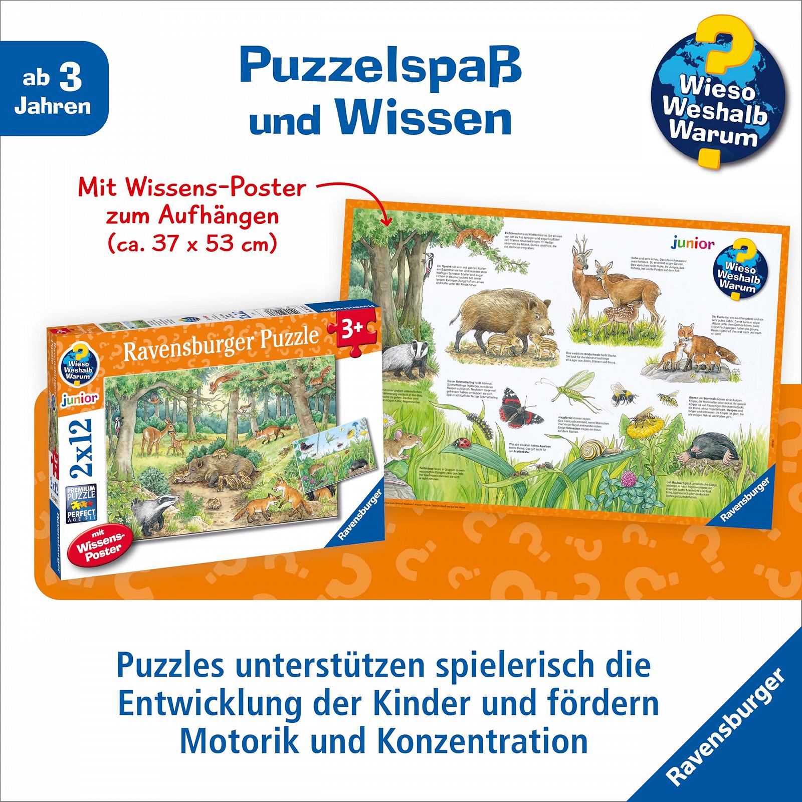 Пазл Ravensburger Why? Why? Why? 05673 Животные в лесу и на лугу 2 x 12 элементов, фото №4 Пазл Ravensburger Why? Why? Why? 05673 Животные в лесу и на лугу 2 x 12 элементов, фото №4
