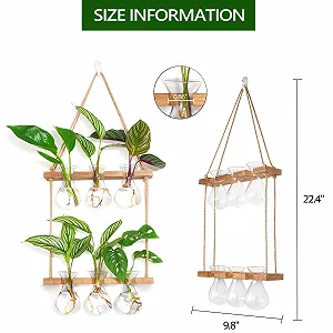 Настенная станция для размножения растений XXXFLOWER Wall Hanging 3 Bulbs 2 Tier Стеклянная с деревянной подставкой synthetic.ua - Фото 1