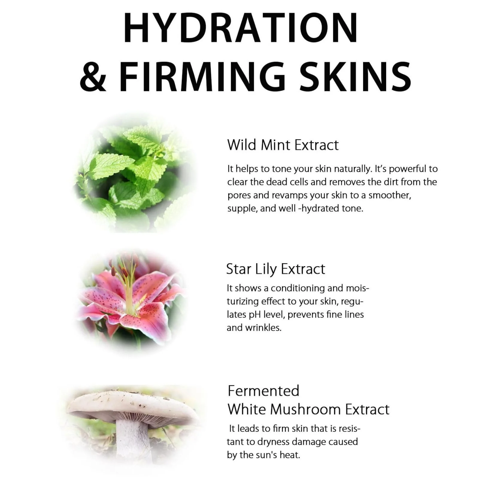 Тканевая маска для лица Lululun Pure Every's - Питательная увлажняющая маска для женщин с экстрактом какао - Для всех типов кожи - Японский уход за кожей для ежедневного использования (7 шт.), фото №4