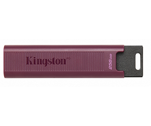Флешка Kingston 256 GB DataTraveler Max USB 3.2 Gen 2 (DTMAXA/256GB) - Фото 1