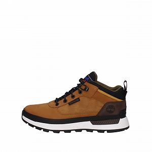 Кросівки Timberland Field Trekker Mid Brown - Фото 1