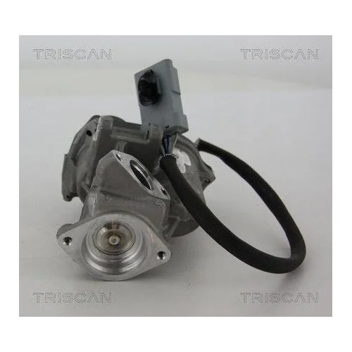 Клапан EGR TRISCAN 8813 17019 FORD LAND ROVER лівий, фото №4