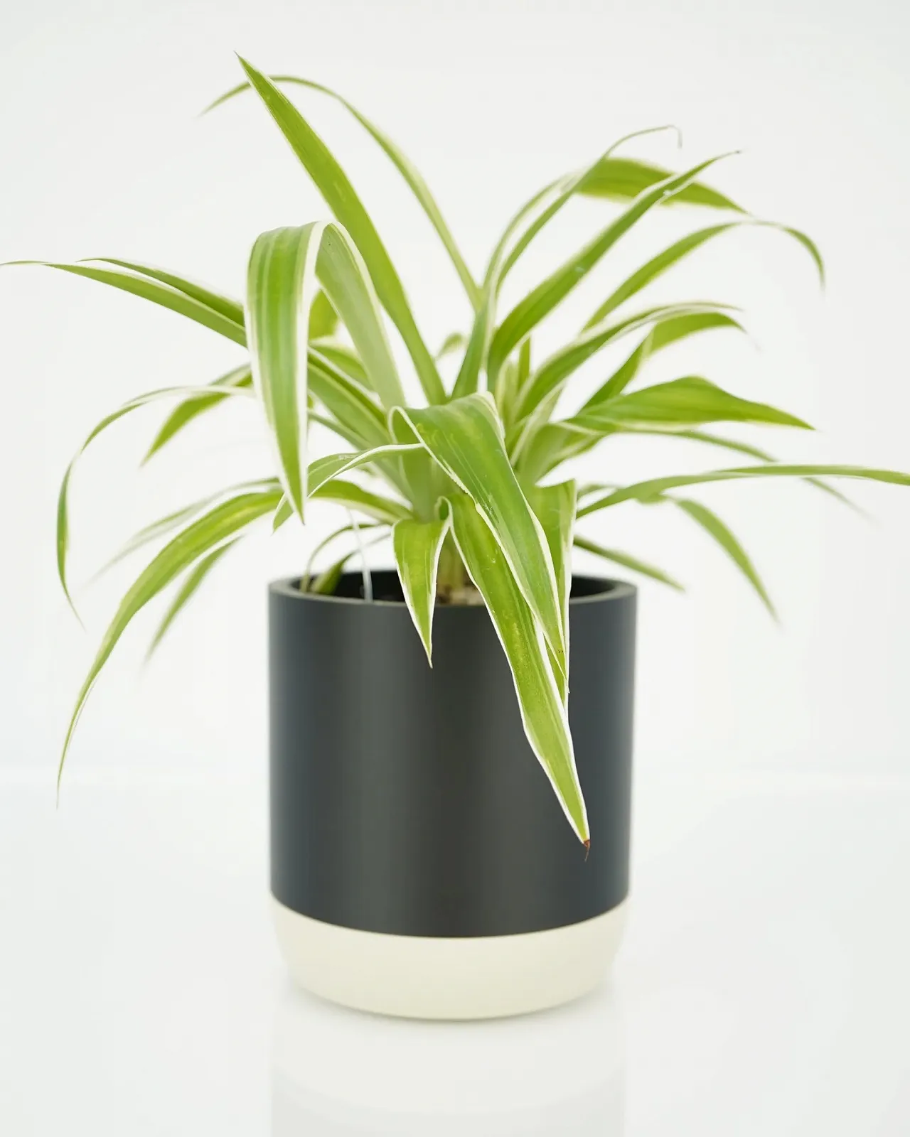 Подвесная корзина Two-Tone Smooth Современная Невидимая подвеска и съемный поддон Слоновая кость Набор: Большой + Малый, фото №6