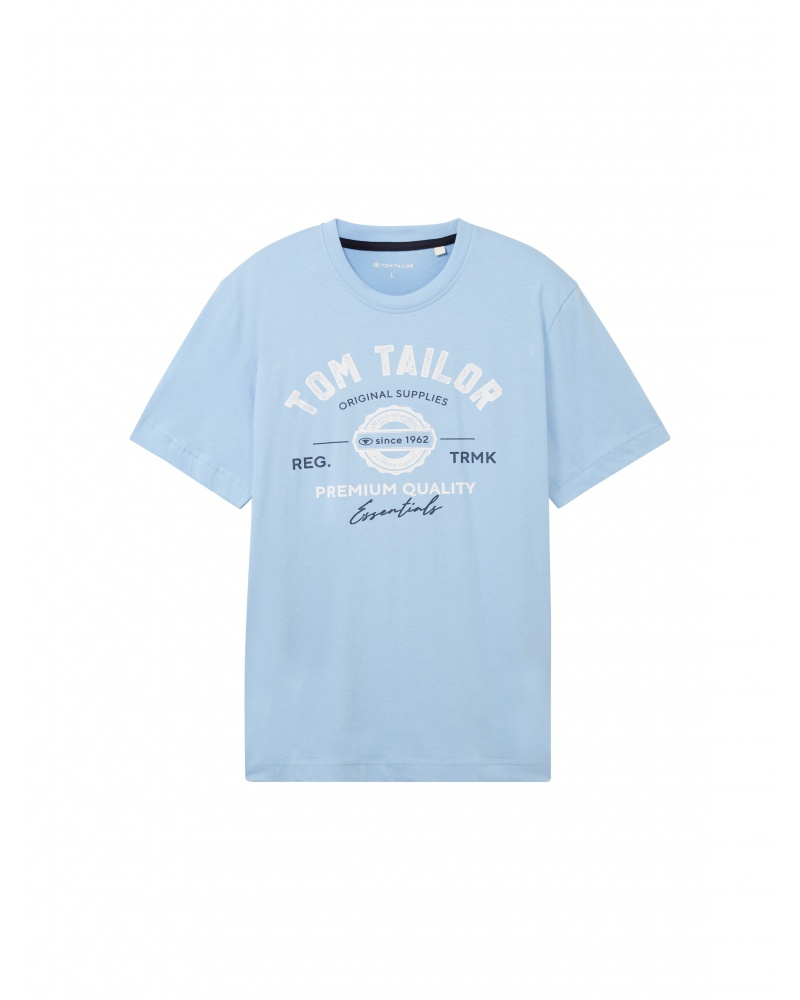 Футболка Tom Tailor LOGO TEE MEN'S Голубой S, фото №5