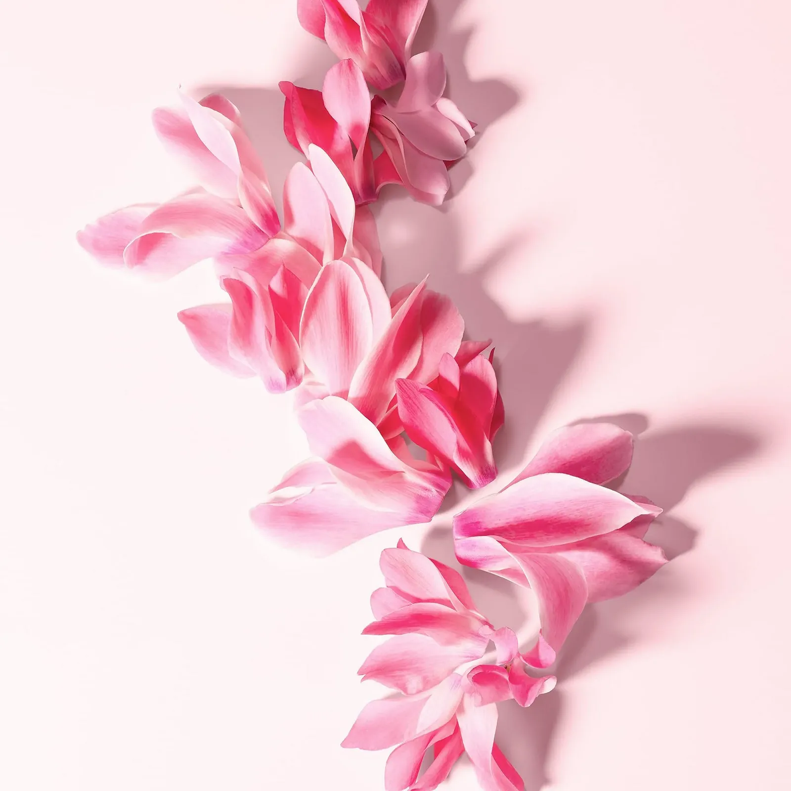 Туалетная вода Dolce & Gabbana D & G Anthology 3 L 'Imperatrice 100 мл (Для женщин), фото №4 Туалетная вода Dolce & Gabbana D & G Anthology 3 L 'Imperatrice 100 мл (Для женщин), фото №4