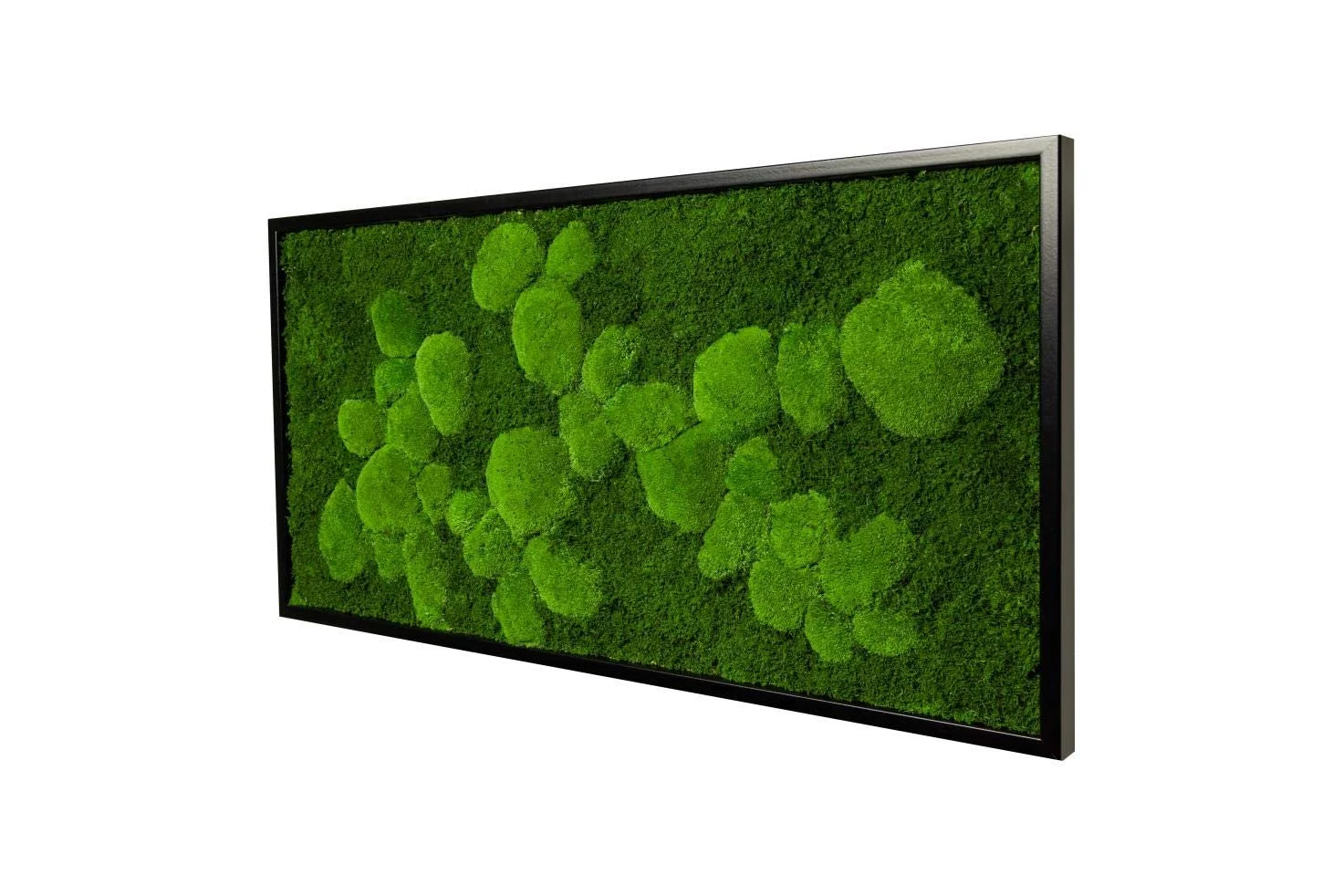 Картина з моху Moss Picture Ball & Slab Moss Дерев'яна рама 110 x 55 см Чорний, фото №2 Картина з моху Moss Picture Ball & Slab Moss Дерев'яна рама 110 x 55 см Чорний, фото №2