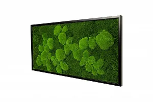 Картина з моху Moss Picture Ball & Slab Moss Дерев'яна рама 110 x 55 см Чорний synthetic.ua - Фото 1