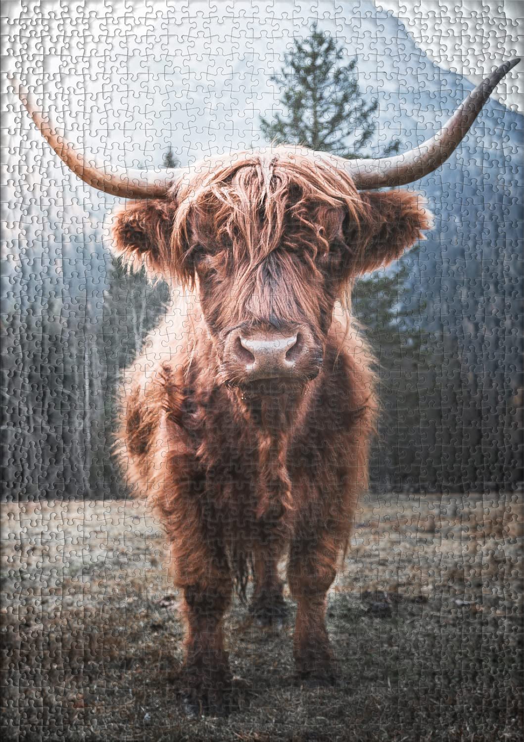 Пазл Ulmer Puzzleschmiede Highland Animal 2000 деталей Мощный высокогорный скот на пастбище на фоне морозных Альп, фото №2