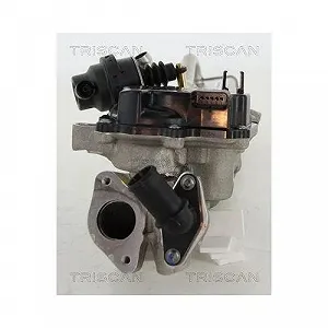 Клапан EGR TRISCAN 8813 10203 для CITROËN FORD VOLVO synthetic.ua - Фото 1
