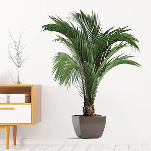 Наклейка на стіну Імітація зелених рослин 3D Горщик Ваза Квіти synthetic.ua - Фото 1