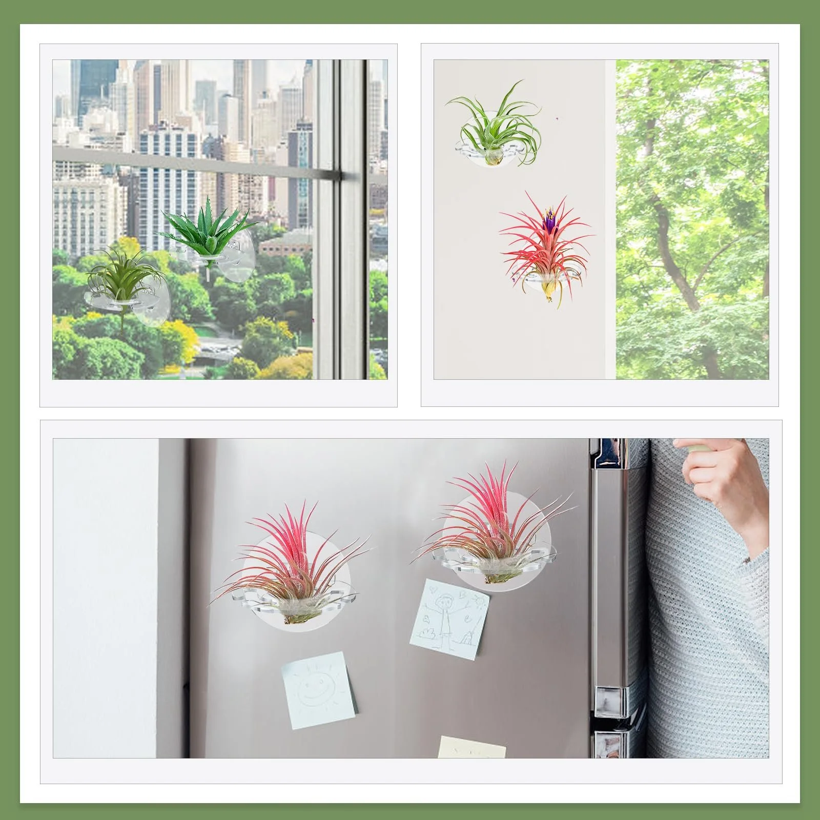 Тримачі для повітряних рослин Набір 12 шт. Прозорий, фото №6