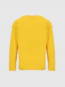 Толстовка LTB Kids RECEBE желтый 164см synthetic.ua - Фото 1