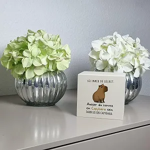 Скарбничка дерев'яна Capybara "Sei Immer du selbst" synthetic.ua - Фото 1