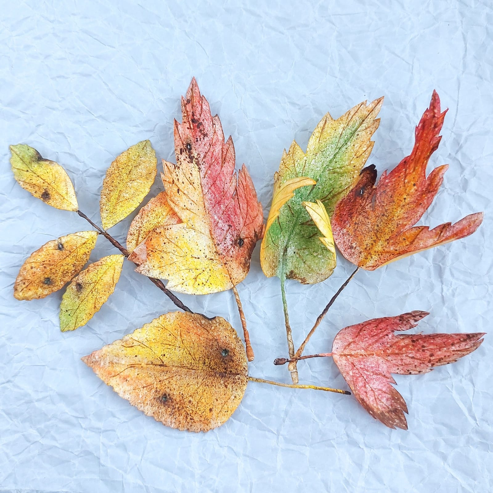 Вафельные цветы SiNegur Осенние листья, набор (7шт.) (ls_topper_leaves7set), фото №9