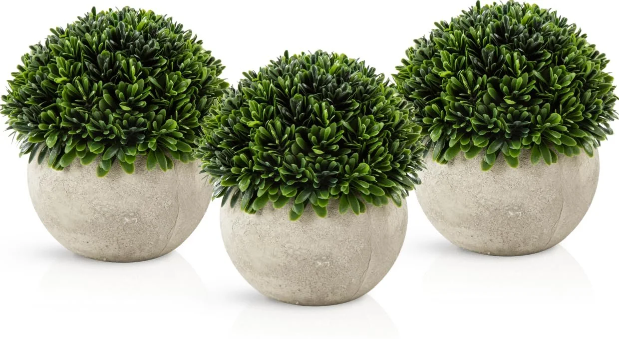 Искусственные растения PASCH 3 шт 13 см в горшках из натурального волокна, фото №7 Искусственные растения PASCH 3 шт 13 см в горшках из натурального волокна, фото №7