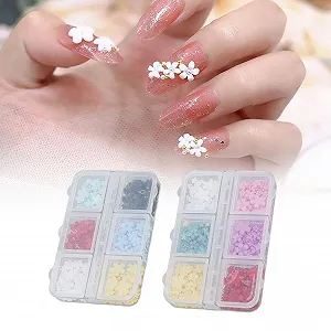Стразы для ногтей 3D Цветы смолы DIY украшения для ногтей 2 коробки по 12 отделений - Фото 1