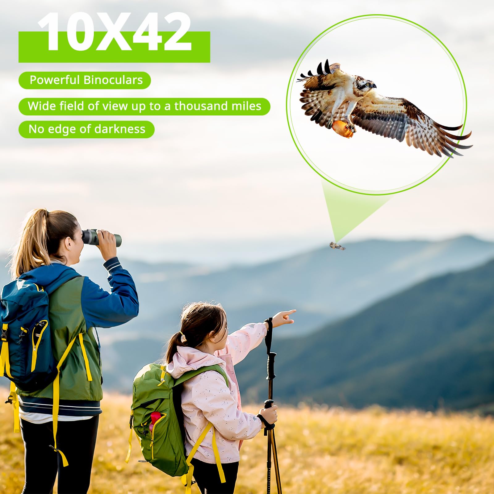 Бінокль UBeesize HD 10 x 42 Водонепроникний 19 мм HD Окуляр, BAK4+FMC для дорослих для спостереження за птахами, походів, полювання, огляду, зелений, фото №5