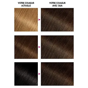 Фарба для волосся GARNIER OLIA 4.0 Pure Chatain (2 упаковки) synthetic.ua - Фото 1