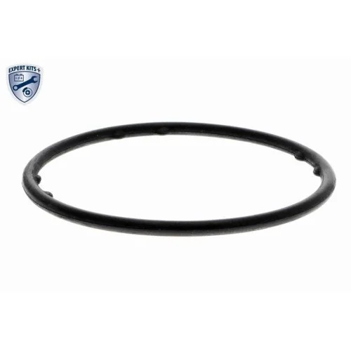 Водяний насос охолодження двигуна VAICO EXPERT KITS + V10-50103 для AUDI SEAT SKODA VW, фото №2 Водяний насос охолодження двигуна VAICO EXPERT KITS + V10-50103 для AUDI SEAT SKODA VW, фото №2