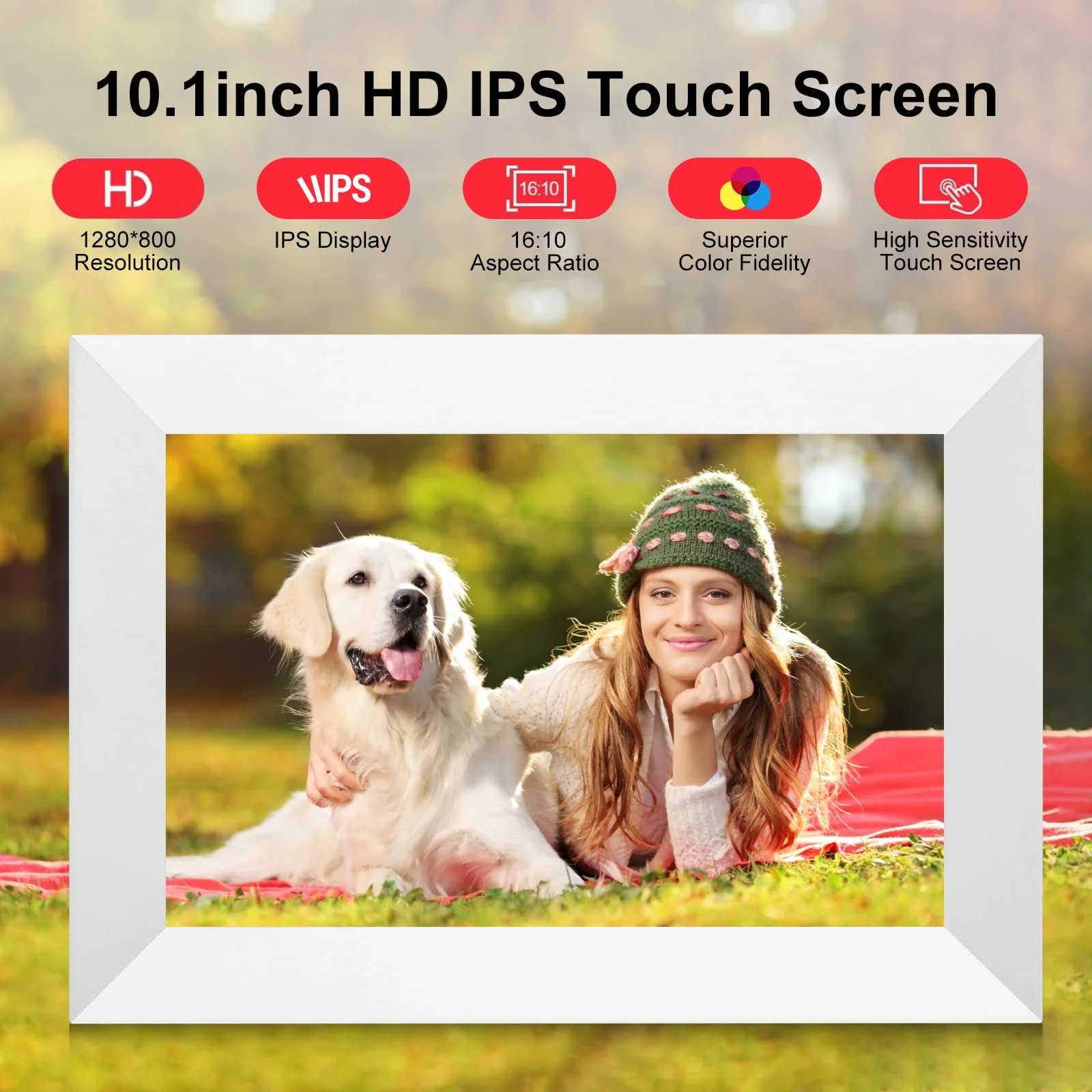 Цифровая фоторамка Frameo 10.1" HD IPS Touchscreen WiFi 16 ГБ White, фото №3