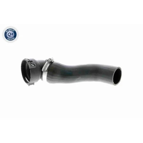 Шланг інтеркулера VAICO V20-1620 Q+ BMW, фото №2