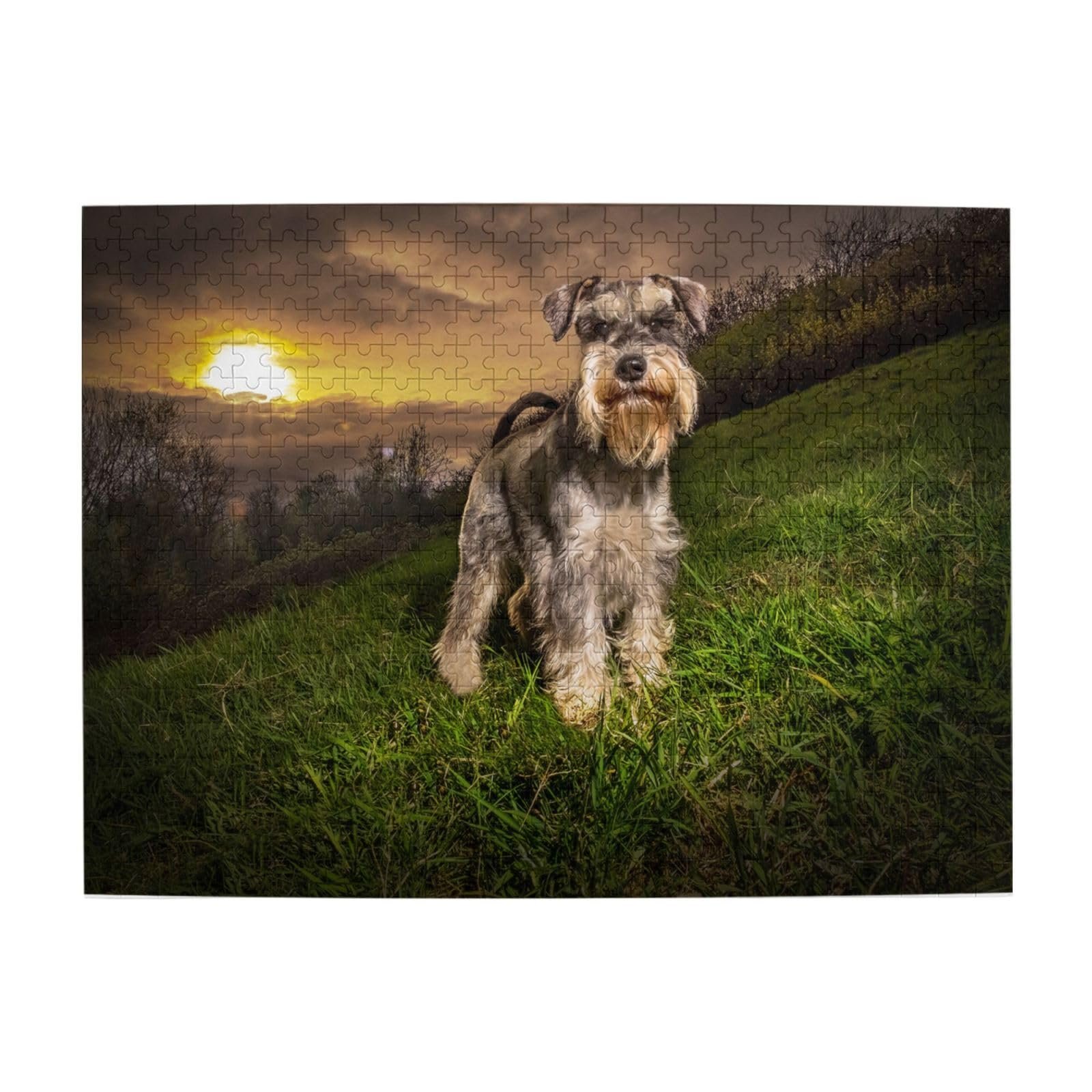 Пазл Schnauzer Sunset 500 деталей Деревянный 50 x 38 см, фото №1
