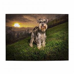 Пазл Schnauzer Sunset 500 деталей Деревянный 50 x 38 см - Фото 1