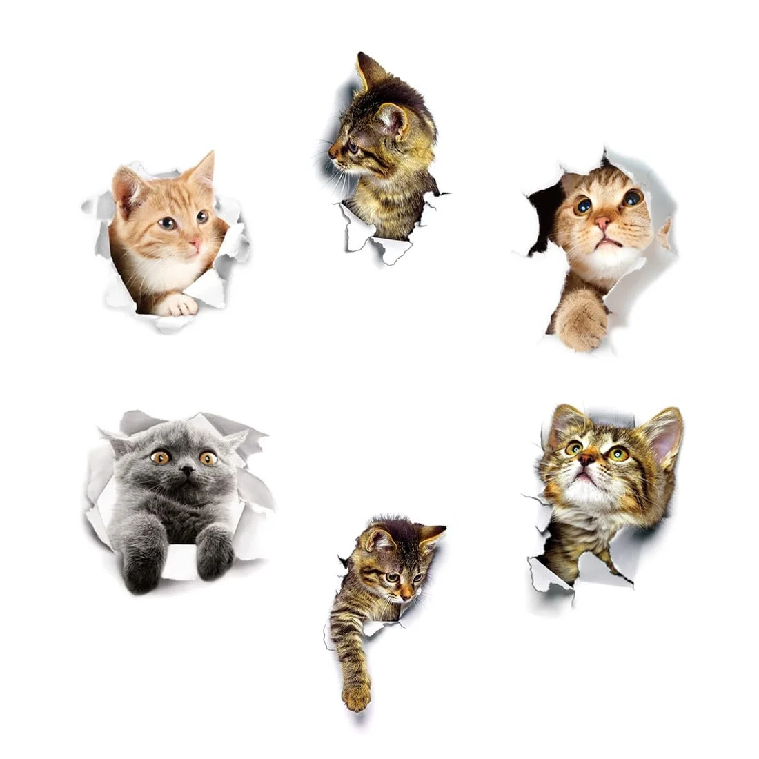 Наклейки на стіну 3D Коти 6 шт. Знімні Багатоколірні, фото №1 Наклейки на стіну 3D Коти 6 шт. Знімні Багатоколірні, фото №1