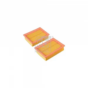 Комплект воздушных фильтров FEBI BILSTEIN 24402 для SEAT VW synthetic.ua - Фото 1