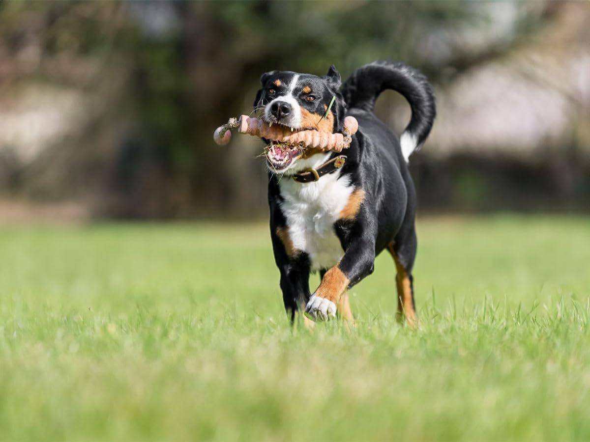 Пазл CALVENDO Full Force Ahead 64 x 48 см, фото №2 Пазл CALVENDO Full Force Ahead 64 x 48 см, фото №2