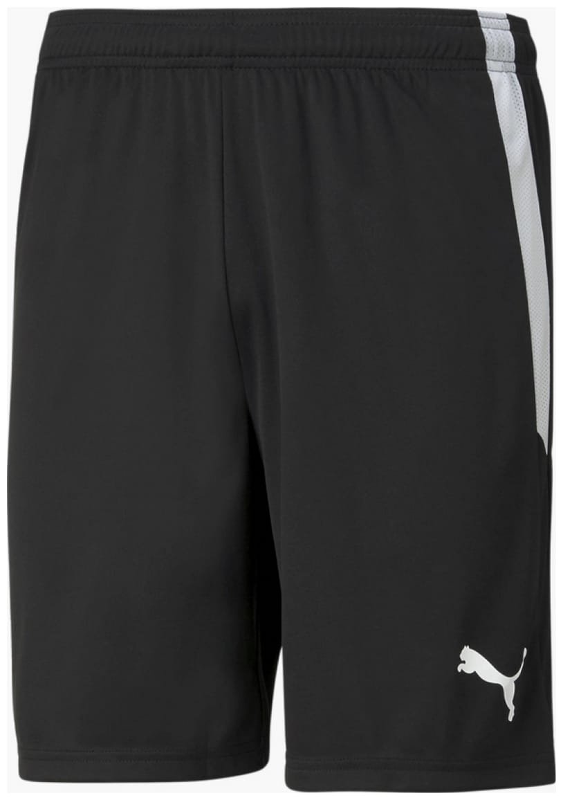 Шорти Puma teamLIGA Shorts чорний  L, фото №1