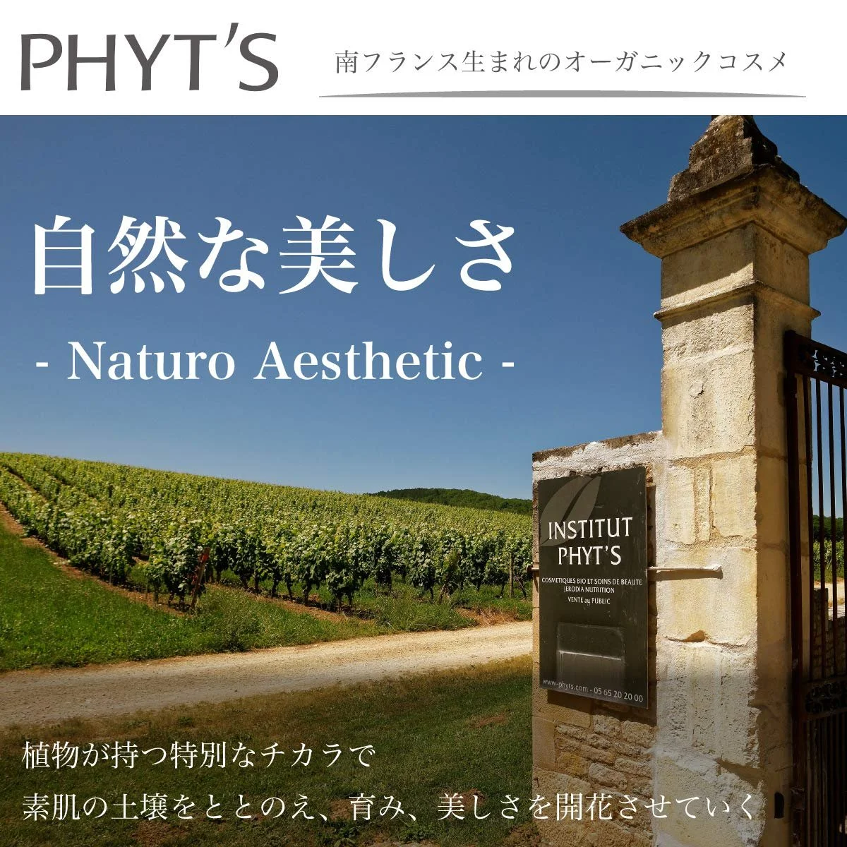 Денний крем Phyts White Organic Active Brightening туба 40 г, фото №5