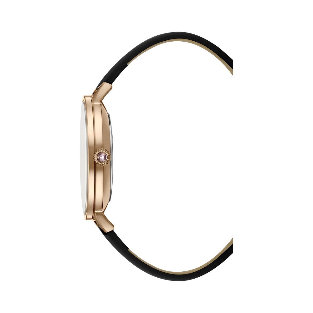 Аналоговий годинник Ted Baker TE50005021, фото №3