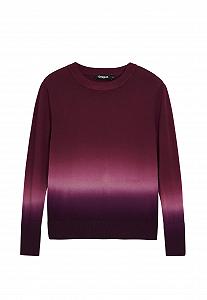 Женская Толстовка Desigual Repris_JERS_pear - Фото 1