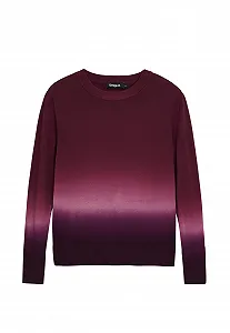 Женская Толстовка Desigual Repris_JERS_pear - Фото 1