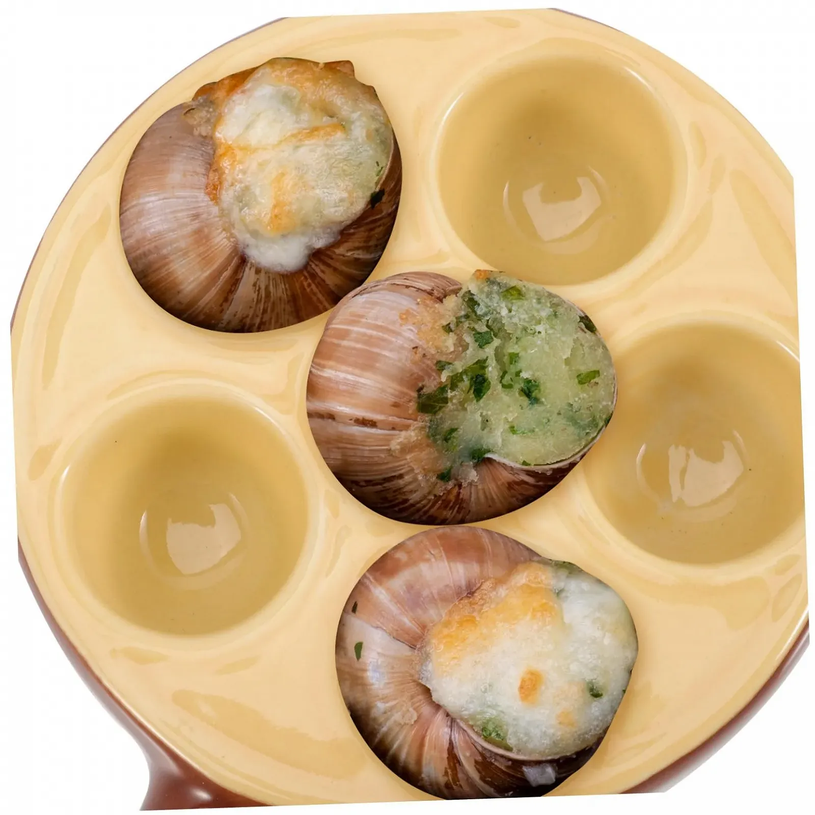 Форма для запекания улиток NOLITOY керамическая с несколькими углублениями универсальная для морепродуктов, фото №9