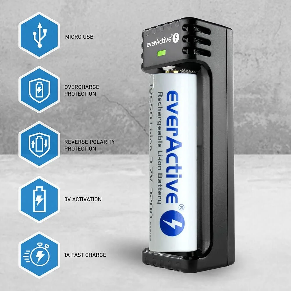 Зарядное устройство everActive LC-100 Li-ion Micro USB Черный, фото №6 Зарядное устройство everActive LC-100 Li-ion Micro USB Черный, фото №6