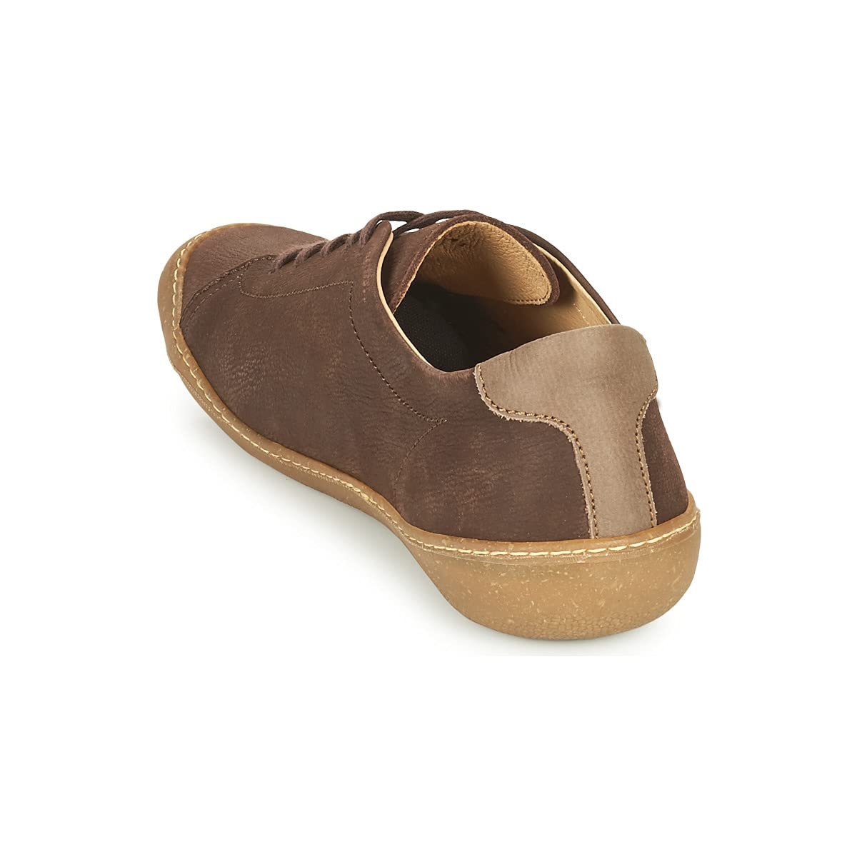 El Naturalista Oxford 5770, фото №6