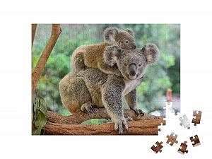 Пазл puzzleYOU Animals, Koalas 200 элементов Мама коала с детенышем на спине на эвкалиптовом дереве цена на synthetic.ua - Фото 1 Пазл puzzleYOU Animals, Koalas 200 элементов Мама коала с детенышем на спине на эвкалиптовом дереве synthetic.ua - Фото 1