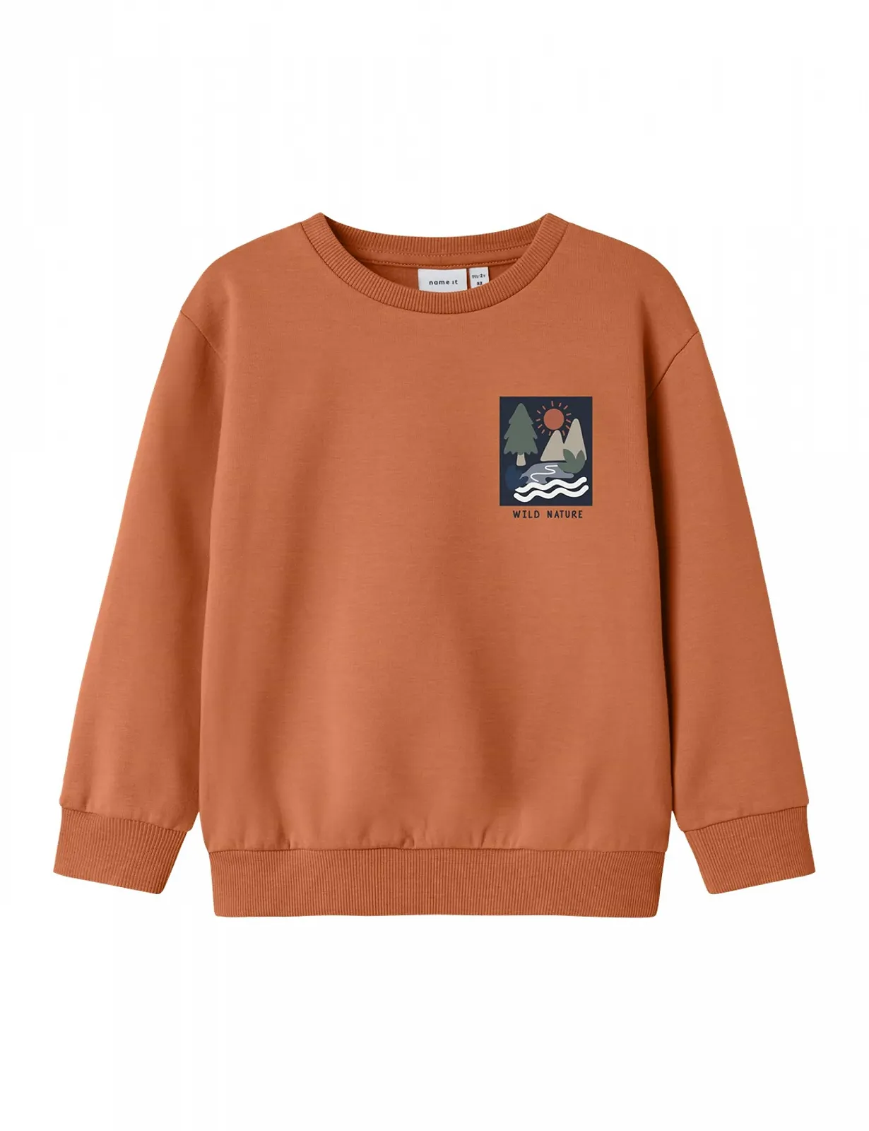 Толстовка NAME IT Nmmoran LS Nreg Sweat Bru Box, фото №1