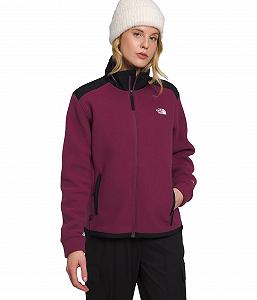 Куртка THE NORTH FACE Alpine Polartec 200 Женская synthetic.ua - Фото 1