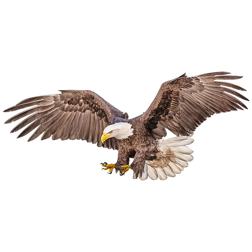 Наклейка на стіну PRETYZOOM American Eagle PVC, фото №1 Наклейка на стіну PRETYZOOM American Eagle PVC, фото №1