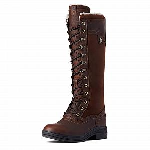 Черевики ARIAT Wythburn II H20 Жіночі Водонепроникні Темно-коричневий - Фото 1