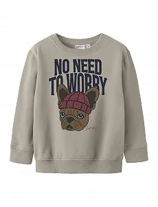 Толстовка NAME IT Nmmriguna LS Nreg Sweat Bru Box - Фото 1