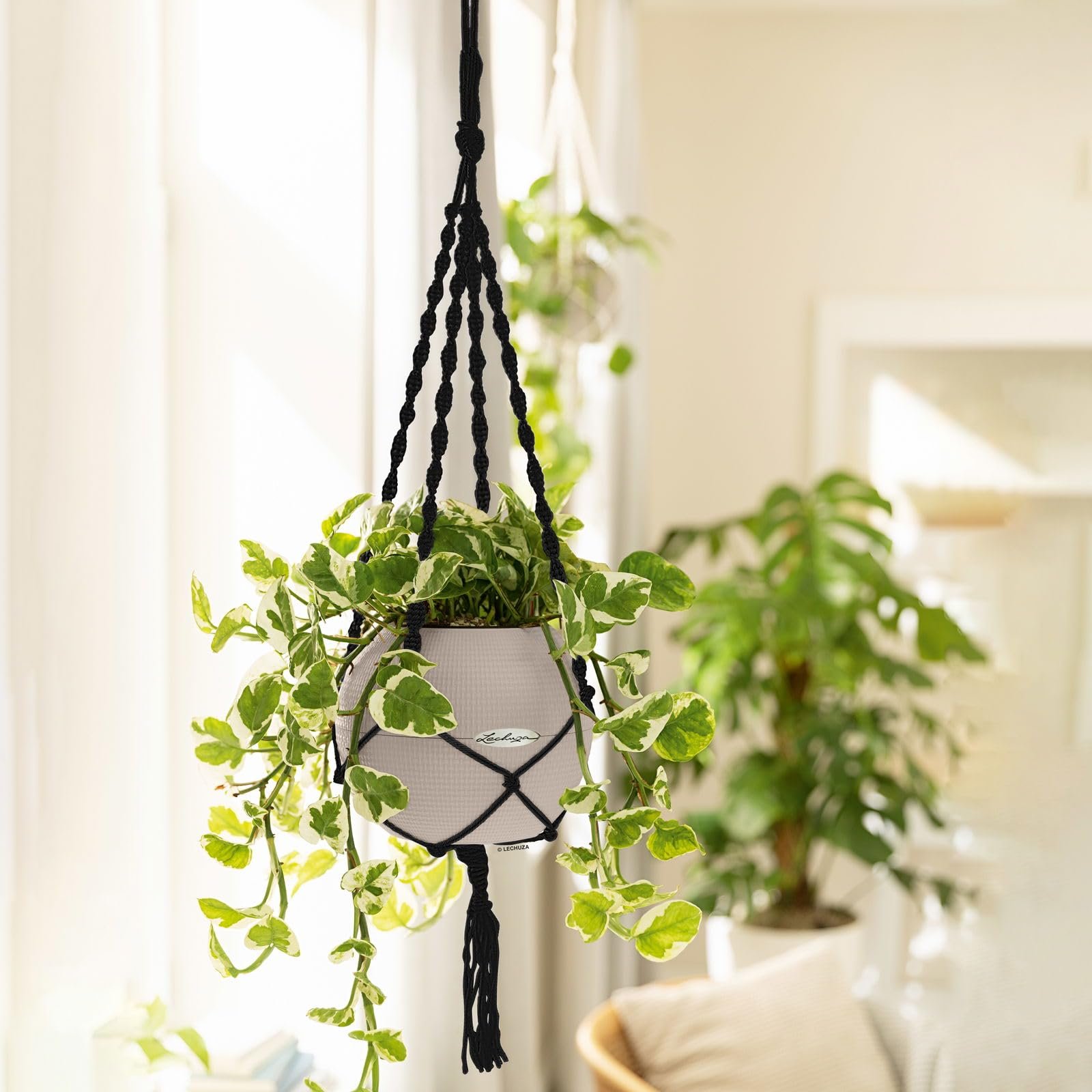 Подвесная корзина Lechuza Macrame 13878 черная, фото №3