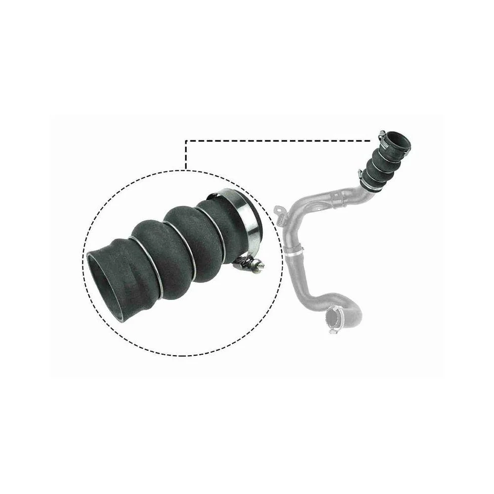 Шланг інтеркулера VAICO V25-1052 Q+ FORD FORD USA, фото №1